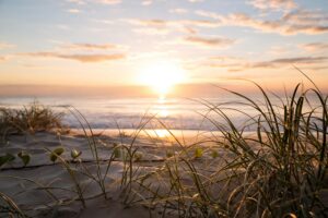 A tranquil sunrise over Gold Coast Beach, QLD, Australia with soft sand and coastal grasses.